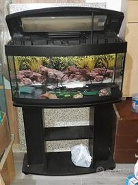 acquario 90 lt vetro curvo