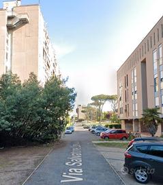 Spinaceto camera ad uso singolo