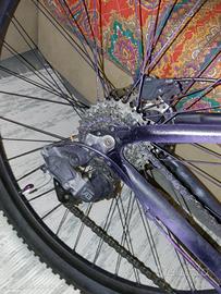 mountain bike modificata per bike