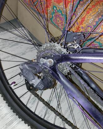 mountain bike modificata per bike