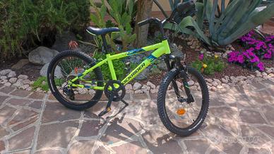 bicicletta bambino 5/8 anni