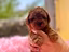 Immagine 6