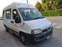 fiat-ducato-11-2-8-jtd-egr-pc-panorama-8-p-ti
