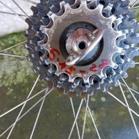 Campagnolo super record copertoncino