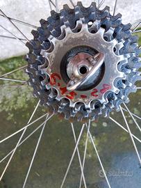 Campagnolo super record copertoncino