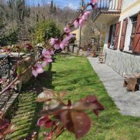 Appartamento 100 mq con giardino