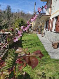 Appartamento 100 mq con giardino