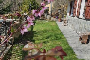 Appartamento 100 mq con giardino