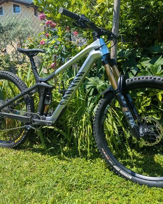 Canyon Strive CFR taglia L 