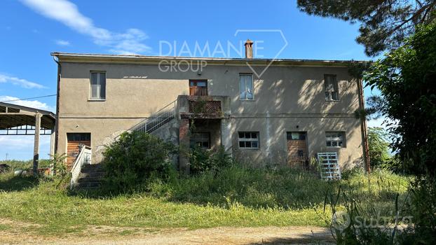 Azienda vitivinicola con casale, annessi e terreno