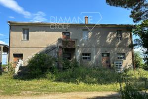 Azienda vitivinicola con casale, annessi e terreno