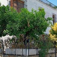 Appartamento Cervo [ASTA211VRG]