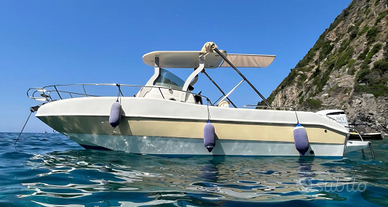 Walkaround - Fuoribordo Suzuki DF225