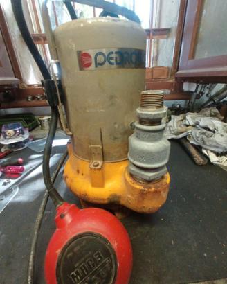 Pompa sommersa pedrollo 220v
