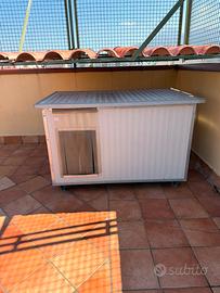 Cuccia coibentata