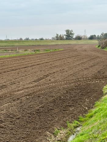 Terreno agricolo