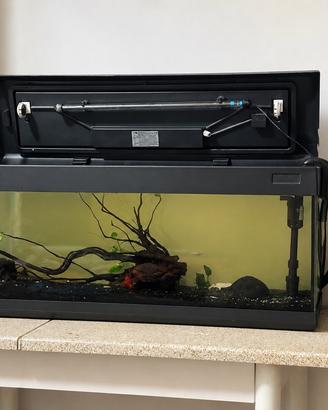 Acquario 120 L  a milano