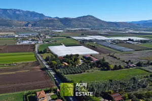 Tenuta agricola 46 HA, agriturismo hangar e lago