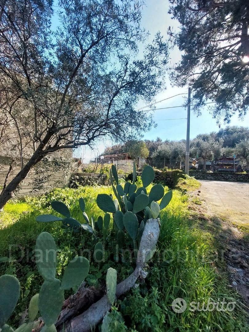 Casa di campagna con terreno a Verzella - Vista 4