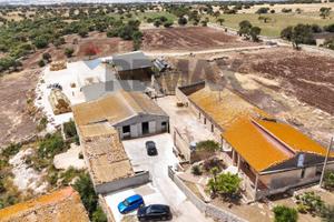 Azienda Agricola - Ragusa