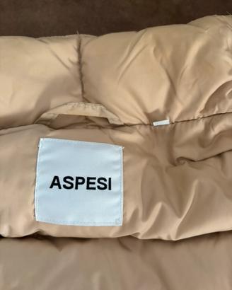 Smanicato Aspesi