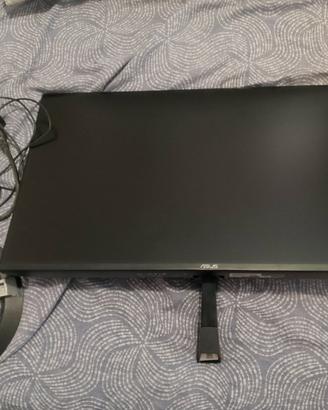 monitor 24" asus