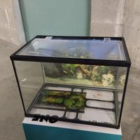 Acquario 20 litri