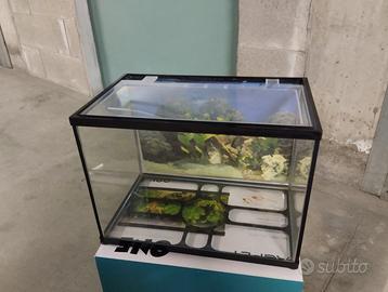 Acquario 20 litri