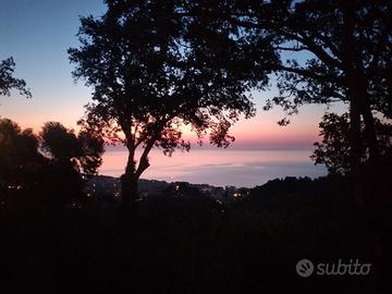 La villetta sulla colina di Alassio