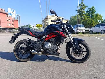 BENELLI BN 302 BN 302