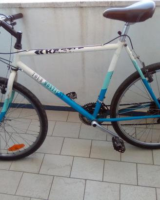 MOUNTAIN BIKE