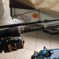 canne e mulinelli da pellet waggler 