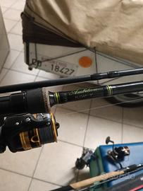 canne e mulinelli da pellet waggler 