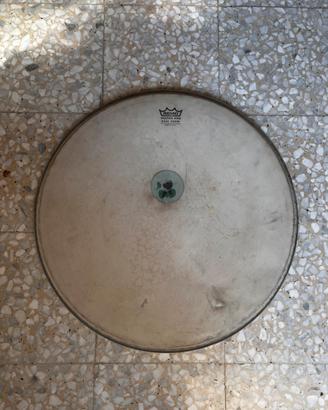 Pelle battente per cassa da 20”