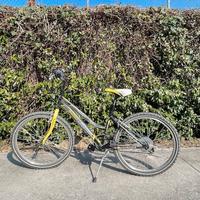 Bicicletta Lombardo Panarea 24