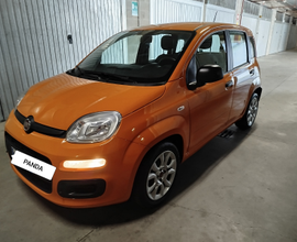 Panda gpl 2020