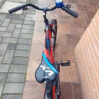 Bicicletta bimbo raggio 20