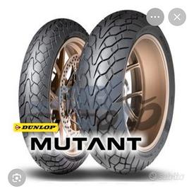 Dunlop Mutant e Michelin Road6 120 70 19 170 60 17