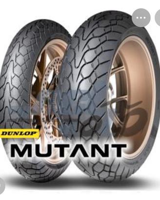 Dunlop Mutant e Michelin Road6 120 70 19 170 60 17