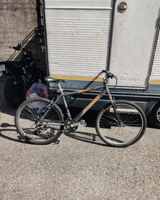 mtb legnano