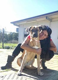 Mara, riservata e brava aspetta una famigia sua