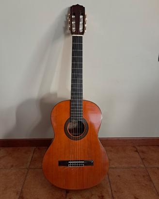 Chitarra marca Aria AK35