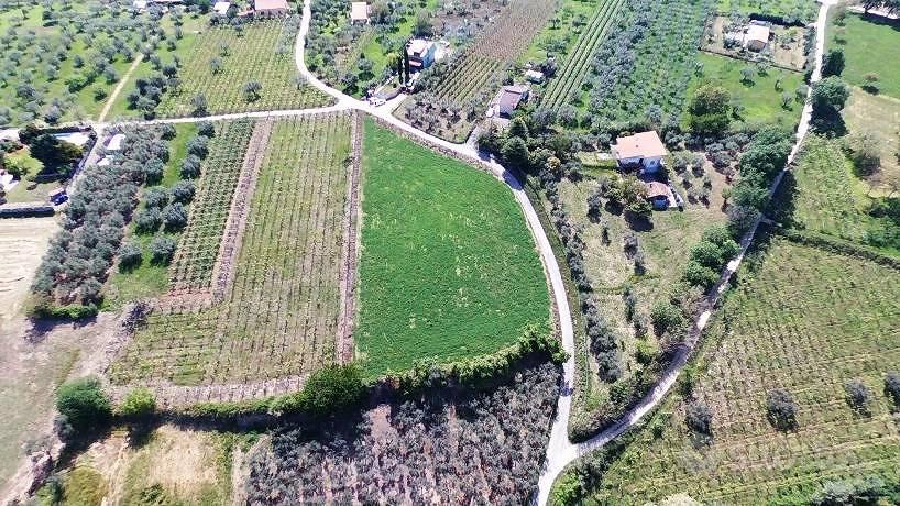 Terreno di 21740 m² a Ortona - Vista 2