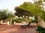 Immagine 6