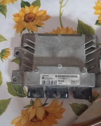 sportelli Ford b max