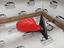 Immagine 4