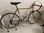 Immagine 4