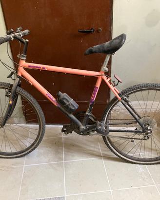 Biciclette