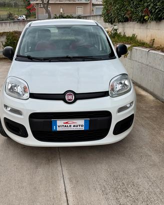 Fiat New Panda 1.2 cv 70 Pop. Euro 6B