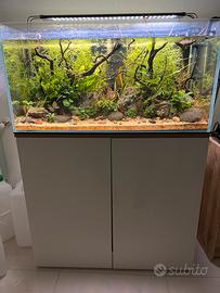 Acquario 180 litri completo